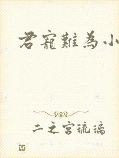 君宠难为小说