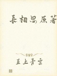 长相思原著