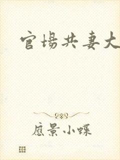 官场共妻大交换封面
