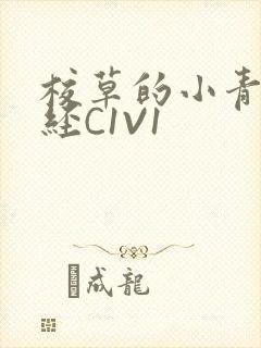 校草的小青梅不经C1V1