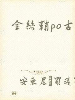 金丝鞘po古言