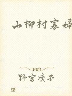 山柳村寡妇情史