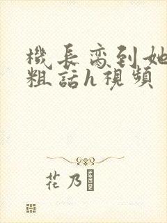 机长脔到她哭h粗话h视频