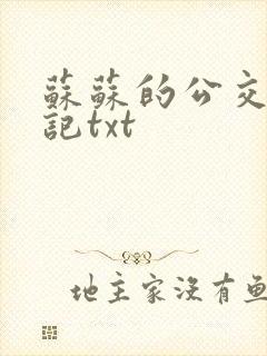 苏苏的公交车日记txt