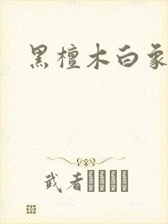 黑檀木白象牙
