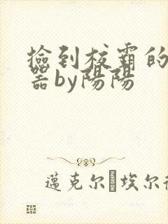 捡到校霸的遥控器by阳阳