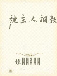 被主人调教1v1