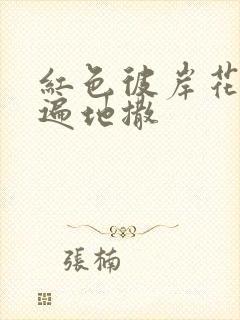 红色彼岸花花瓣遍地撒
