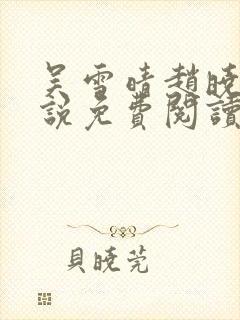 吴雪晴赵晓东小说免费阅读封面