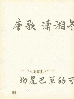 唐歌 潇湘冬儿封面