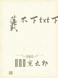 落不下txt下载