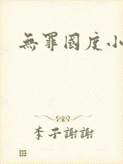 无罪国度小说