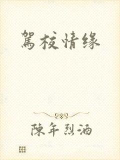 驾校情缘