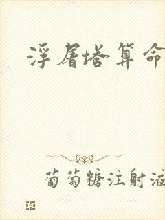 浮屠塔算命封面