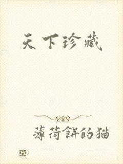 天下珍藏封面