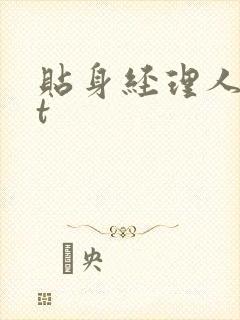 贴身经理人txt