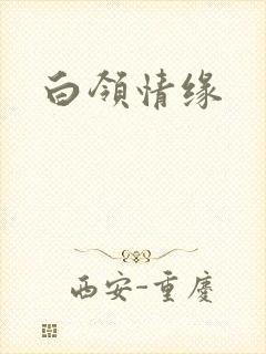 白领情缘
