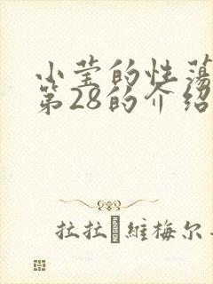 小莹的性荡生活第28的介绍封面