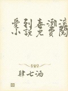 爱到春潮滚滚来小说免费阅读封面