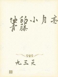 他的小月亮by青藤封面