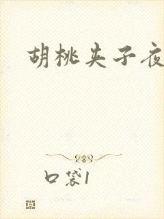 胡桃夹子夜未眠