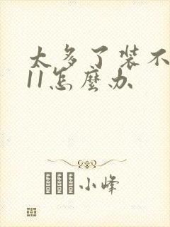 太多了装不下h11怎么办