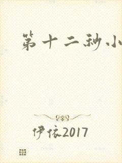第十二秒小说封面