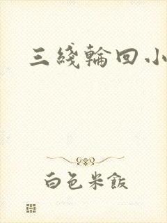 三线轮回小说封面