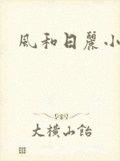 风和日丽小说