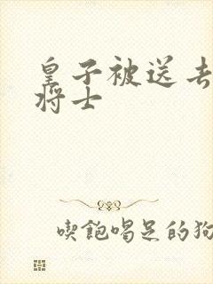 皇子被送去犒劳将士