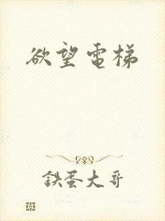 欲望电梯