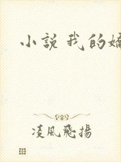 小说 我的娇妻