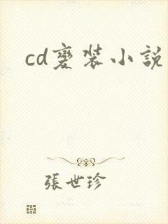 cd变装小说封面