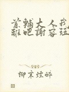 首辅大人我们和离吧谢容珏封面