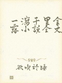 一泻千里金银花露小说全文免费阅读