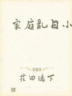 家庭乱日小说