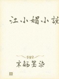江小媚小说封面