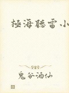 极海听雷小说封面