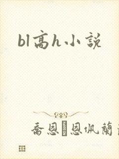 bl高h小说