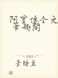 阿宾传全文阅读 笔趣阁封面