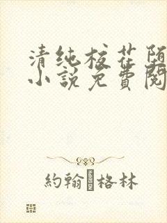 清纯校花堕落记小说免费阅读