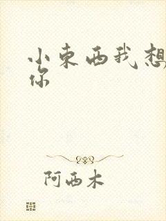 小东西我想弄坏你