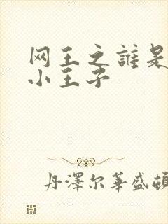 网王之谁是我的小王子封面