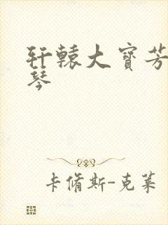轩辕大宝芳菲雅琴