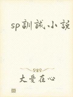 sp训诫小说