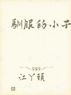 驯服的小子4