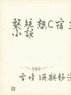 系统想C宿主的小说