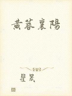 黄蓉襄阳