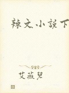 辣文小说下载封面