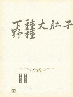 下种大肚子怀孕野种